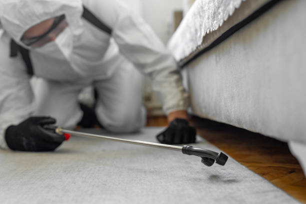 Professional Cockroach Control technician working in Chemung County County, NY